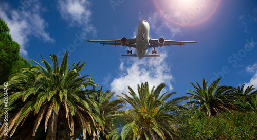 Palm trees on the background of the plane in the sky. Summer traveling concept