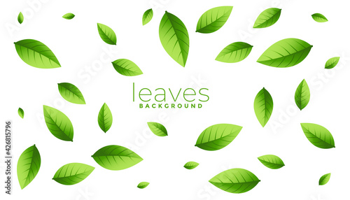 Wallpaper Mural falling scattered green leaves background Torontodigital.ca