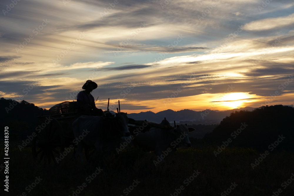 Village Farm worker Sunset Sunrise Myanmar inle lake Village Farm worker Sunset Sunrise Myanmar inle lake