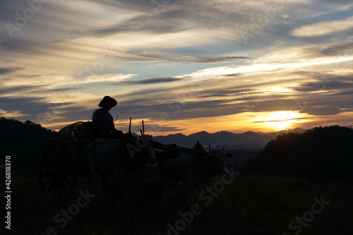 Village Farm worker Sunset Sunrise Myanmar inle lake