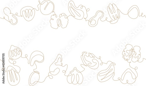 Vector One line Drawing Seamless patterns with Various Nuts and Seeds. Can be...