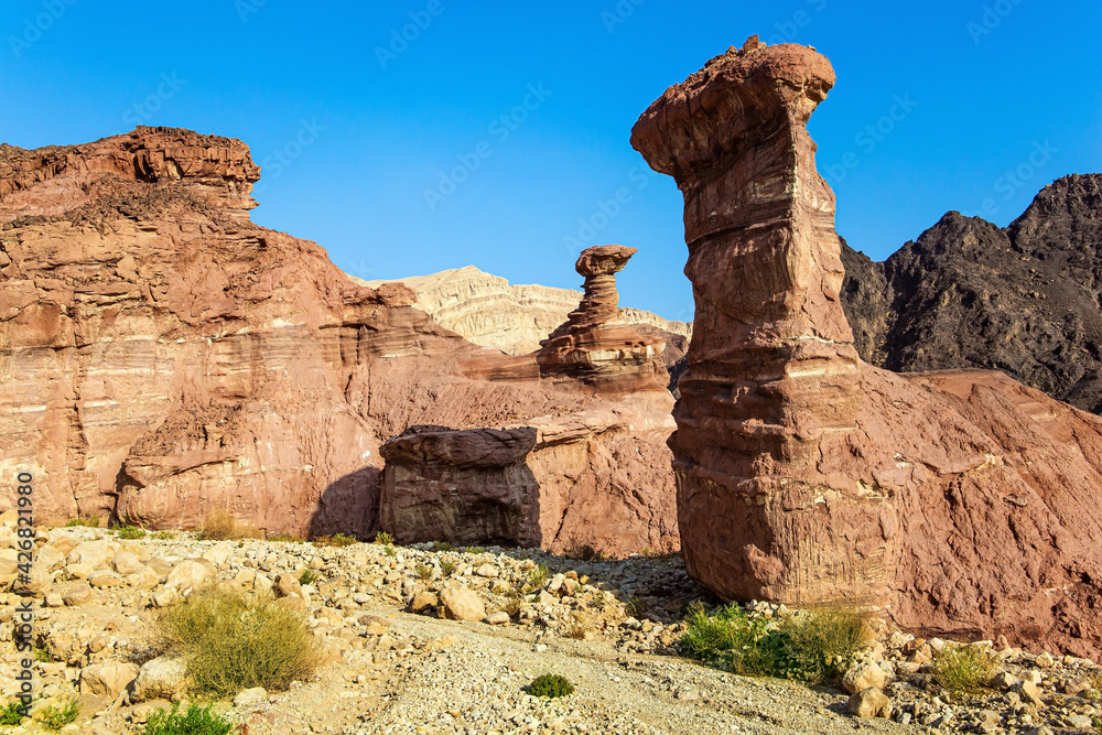  The rocks are composed of sandstones