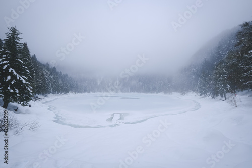 The frozen Lac des Corbeaux under the clouds, La Bresse, Vosges. France
