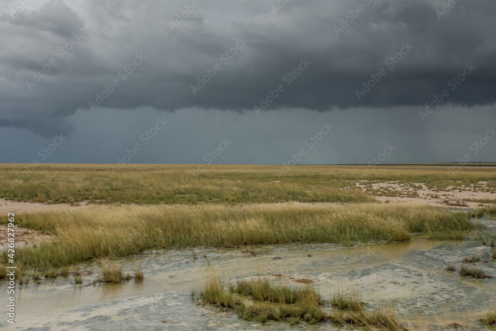 Parc national d'Etosha