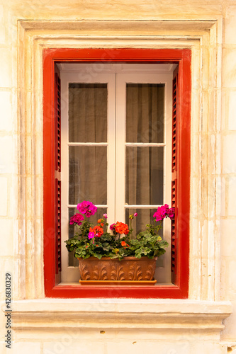 Red window with geraniums colorful flowers in clay pot