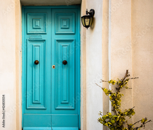Light blue doors with plant on a side and and lamp