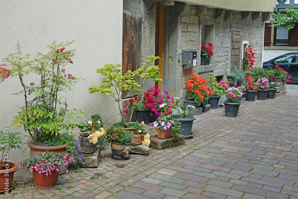 Naklejka premium Blumen an einem Haus in Besigheim