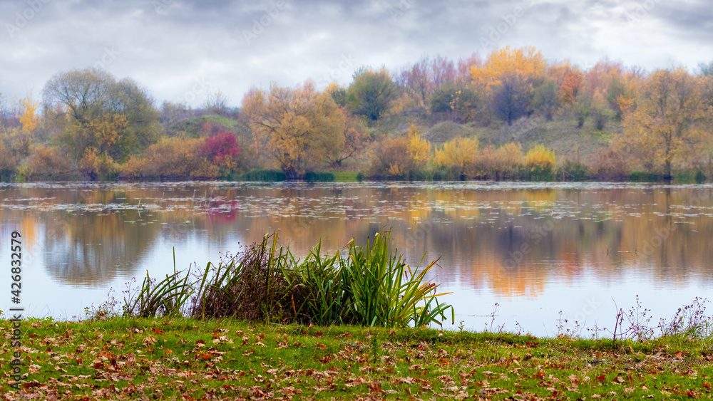 River with colorful trees and reeds on the banks in autumn, fallen autumn leaves on the grass by the river River with colorful trees and reeds on the banks in autumn, fallen autumn leaves on the grass by the river
