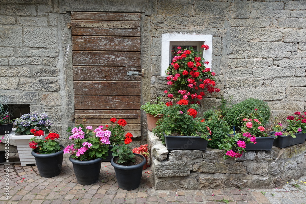 Blumen an einem Haus in Besigheim
