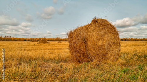 Obraz na płótnie A bale of hay standing on a field in autumn w salonie