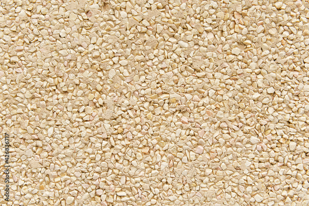 The texture of the wall made of plaster and small white stones. Background for design and decoration. White gravel backdrop. The texture of the wall made of plaster and small white stones. Background for design and decoration. White gravel backdrop.