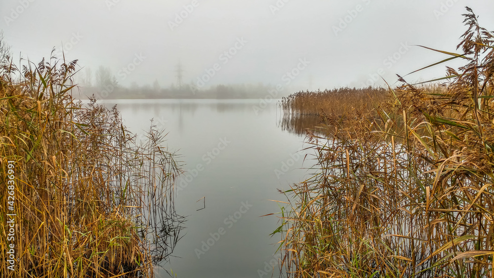 Foggy morning by the lake in autumn
