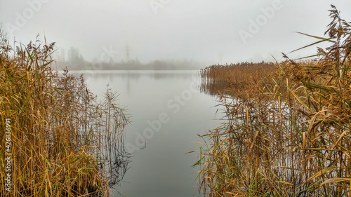 Obraz na płótnie Foggy morning by the lake in autumn w salonie