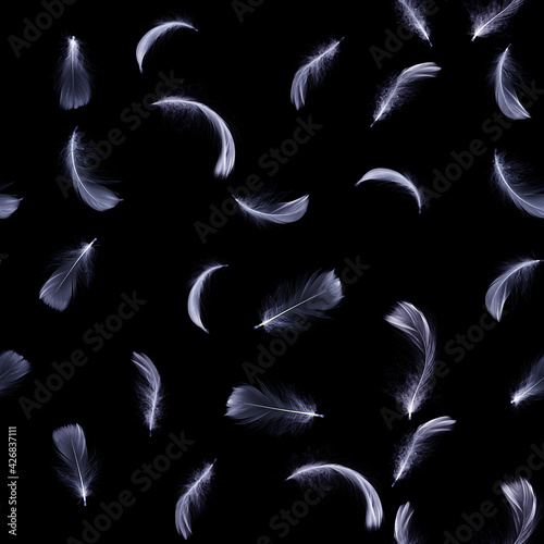 Feather white. Abstract bird feather texture closeup falling on black background for seamless pattern wallpaper. Concept of sensitivity responsiveness to nature.