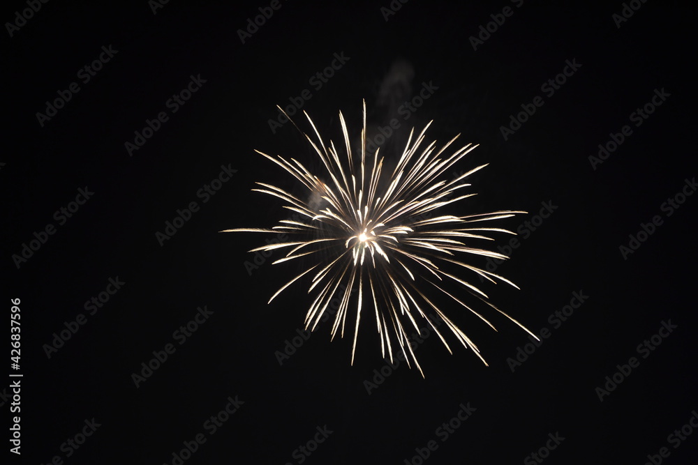 Fototapeta premium Firework during a celebration of a festival or new year or party