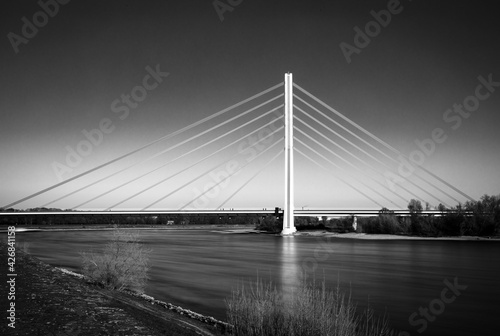 bridge over the river