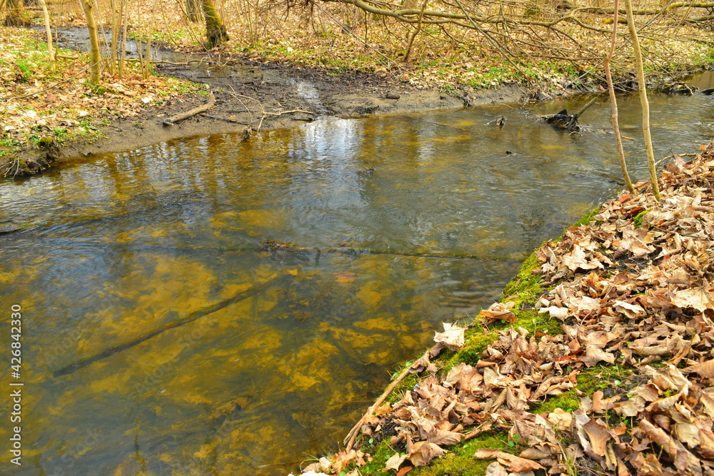 Small quiet river in the old park. Small quiet river in the old park.