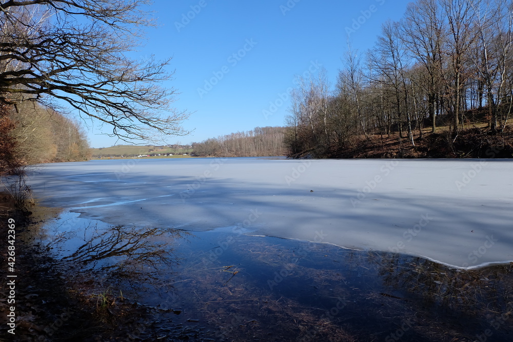 Reflektion eines Baumes im teilweise gefrorenem Wasser Reflektion eines Baumes im teilweise gefrorenem Wasser