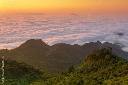 Morning mist and mountain,Mist over the mountaintop at "Doi Pha Tang" Chiang Rai, Thailand in the sunrise scenery.