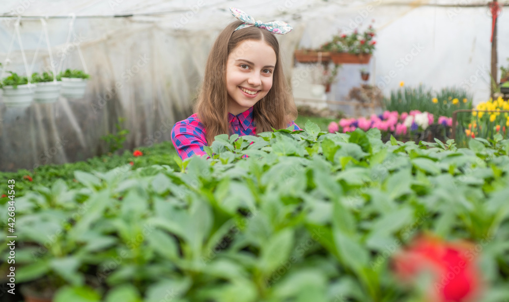 happy teen girl florist planting pot plants in greenhouse, selective focus, summer