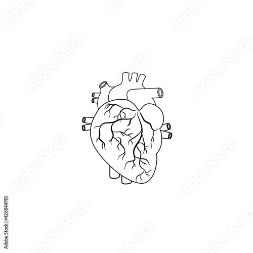 Modern Minimalistic Human Heart Line Icon Vector. Simple Heart Outline sign for human anatomy, medical or healthcare concept. Heart Anatomy symbol isolated on white background.