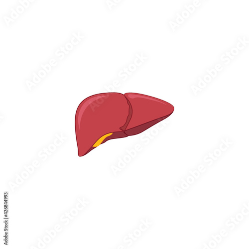 Modern Minimalistic Human Liver Icon Vector. Simple Liver sign for human anatomy, medical or healthcare concept. Liver organ symbol isolated on white background.