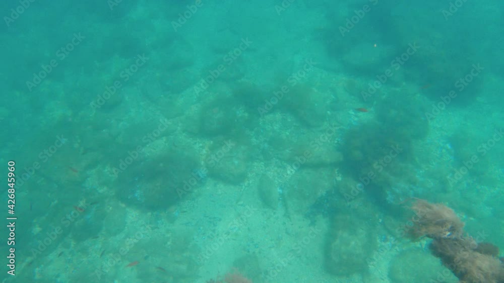 Underwater view of a sunken ship covered with seaweed corals and mussels. Small fish swim around the sunken ship Underwater view of a sunken ship covered with seaweed corals and mussels. Small fish swim around the sunken ship