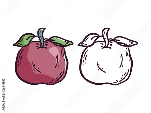 Vector simple doodle illustration. Two variants of the cartoon apple icon, colored and white with black strokes. Design element on a white background.