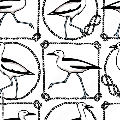 Vector seamless pattern with hand drawn cute crab-plovers in nautical rope frames. Beautiful animal design elements, ink drawing,perfect for prints and patterns
