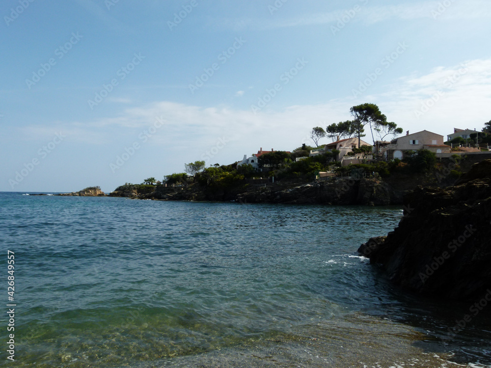 beach with water