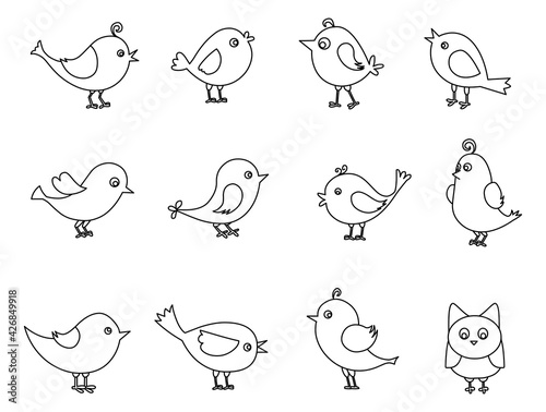 Lovely birds set line drawing vector