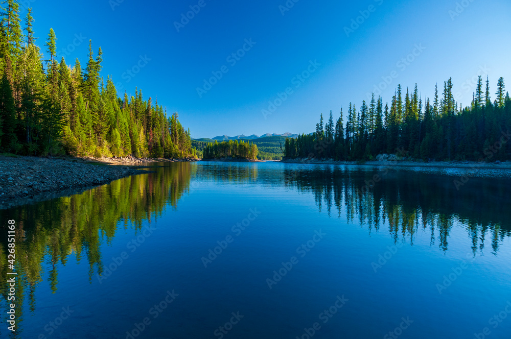 reflection of trees in water