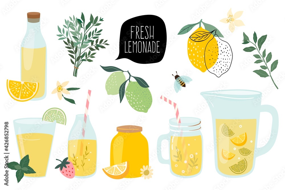 Summer fresh lemonade collection with  different elements isolated - obrazy, fototapety, plakaty 