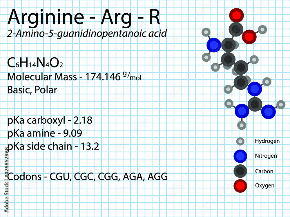 Arginine Arg R Essential Amino Acid molecular formula, chemical