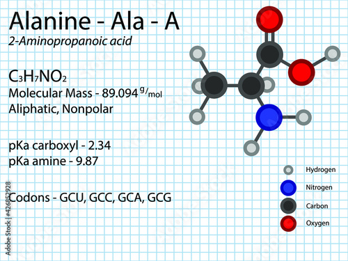 Alanine - Ala - A - Non Essential Amino Acid molecular formula, chemical structure, pKa, pKb, codons, mass. 2D Ball and stick model on school paper sheet background.