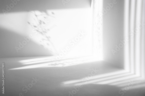 Gray shadows of branches of flowers and different stripes on the white wall. Abstract neutral background. Layout concepts for advertising, copy space