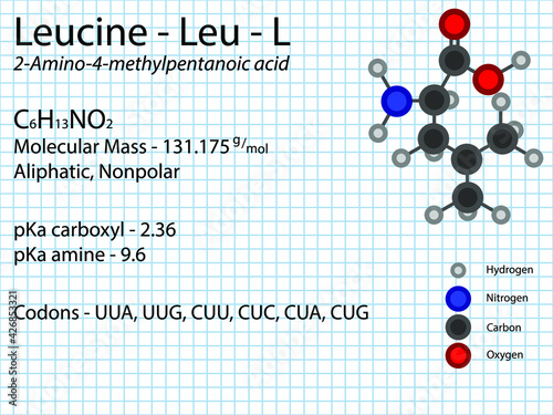Leucine - Leu - L - Essential Amino Acid molecular formula, chemical structure, pKa, pKb, codons, mass. 2D Ball and stick model on school paper sheet background.