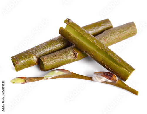 White Willow Bark (Salix Alba) Collected Early Spring. Medicinal Raw Material. Isolated on White.
