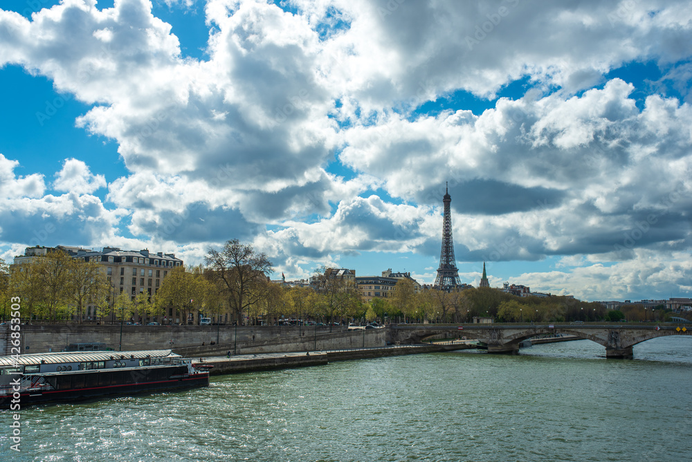 view from the Alexander bridge to the seine river Paris