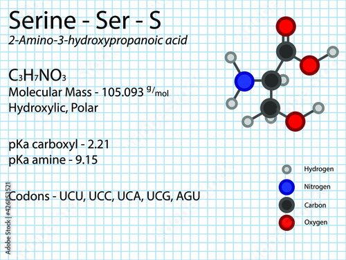 Serine - Ser - S - Non Essential Amino Acid molecular formula, chemical structure, pKa, pKb, codons, mass. 2D Ball and stick model on school paper sheet background.
