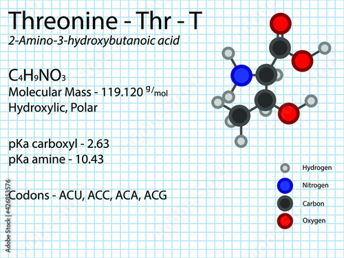 Threonine - Thr - T - Essential Amino Acid molecular formula, chemical structure, pKa, pKb, codons, mass. 2D Ball and stick model on school paper sheet background.