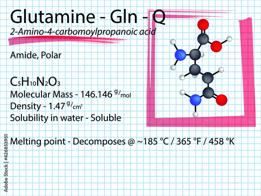Glutamine Gln Q Conditionally Essential Amino Acid molecular
