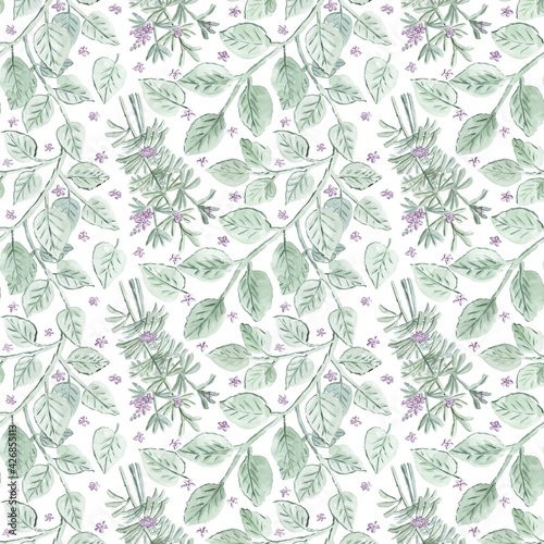 Seamless patterns with watercolor illustrations of rosemary and sage.
