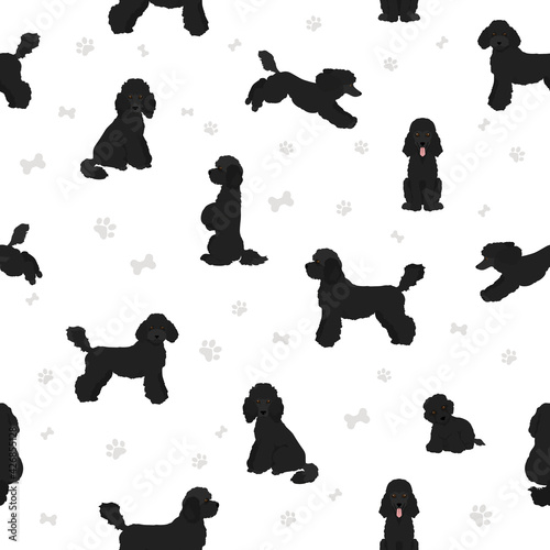 Medium poodle clipart. Different poses, coat colors set