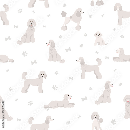 Standard poodle seamless pattern. Different poses, coat colors set