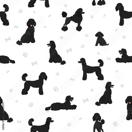 Standard poodle seamless pattern. Different poses, coat colors set