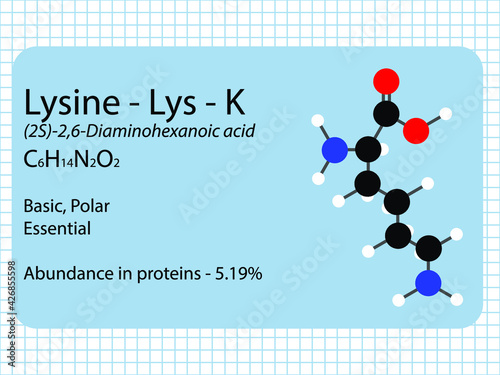 Lysine - Lys - K - Essential Amino Acid molecular formula, chemical structure, abundance in proteins. 2D Ball and stick model on school paper sheet background.