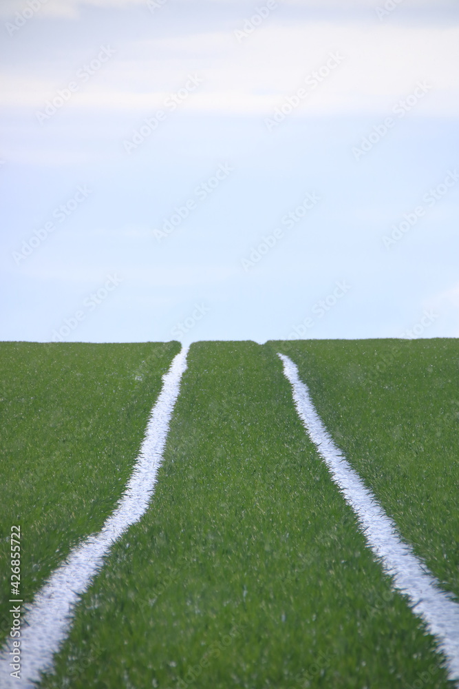 Obraz premium Fahrspuren auf einem Acker laufen am Horizont zusammen