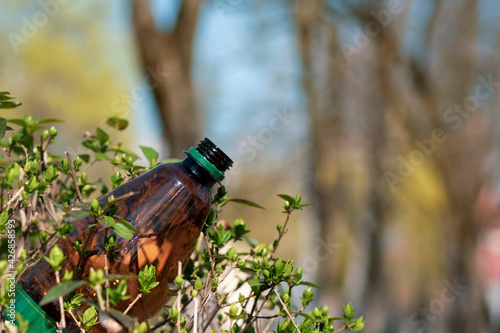 Plastic bottles in bushes with young leaves in early spring, environmental concept - everywhere plastic, plastic bottles