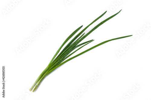 green onions isolated on a white background